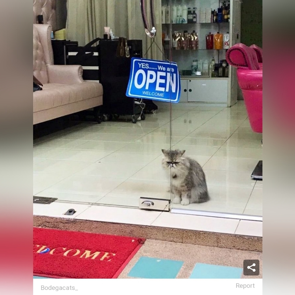 ♥️ this listing to be notified of my next live!